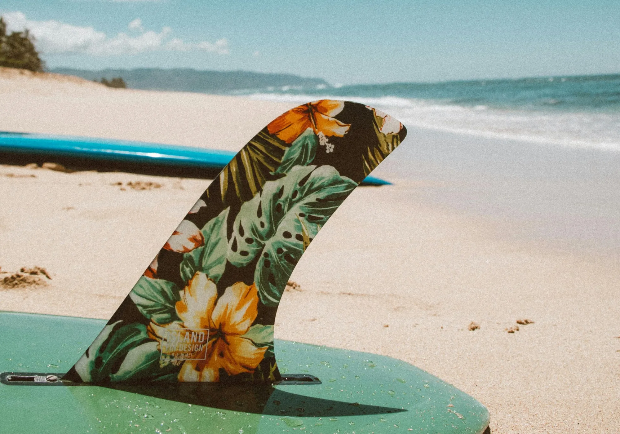 Discovering The Hidden Mysteries Of Petra 5 Discovering the Hidden Mysteries of Petra