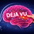 Por Qué Sentimos Déjà Vu Y Qué Dice La Ciencia 12 sensación de deja vu representada con un cerebro humano y recuerdos repetidos