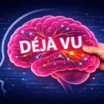 Por Qué Sentimos Déjà Vu Y Qué Dice La Ciencia 9 sensación de deja vu representada con un cerebro humano y recuerdos repetidos